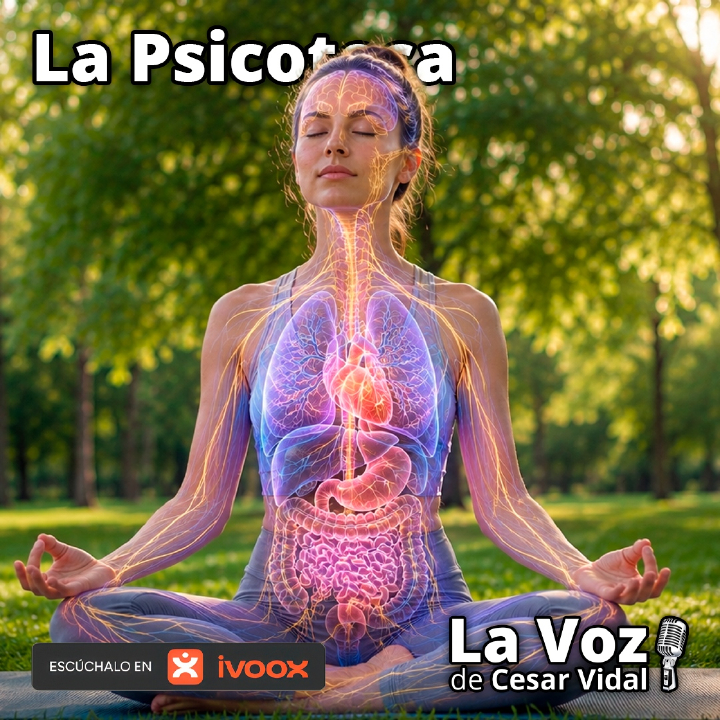 La Psicoteca: RESPIRAR LO CAMBIA TODO: Cómo tu respiración transforma tu sistema nervioso - 06/05/26 episode artwork