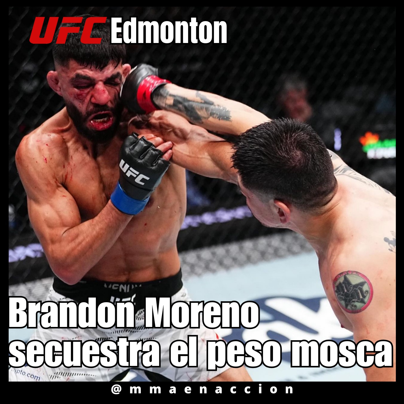 MMA en acción