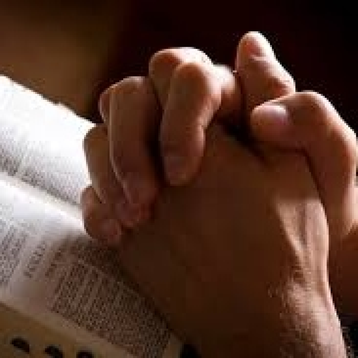 FEC Familias en Cristo