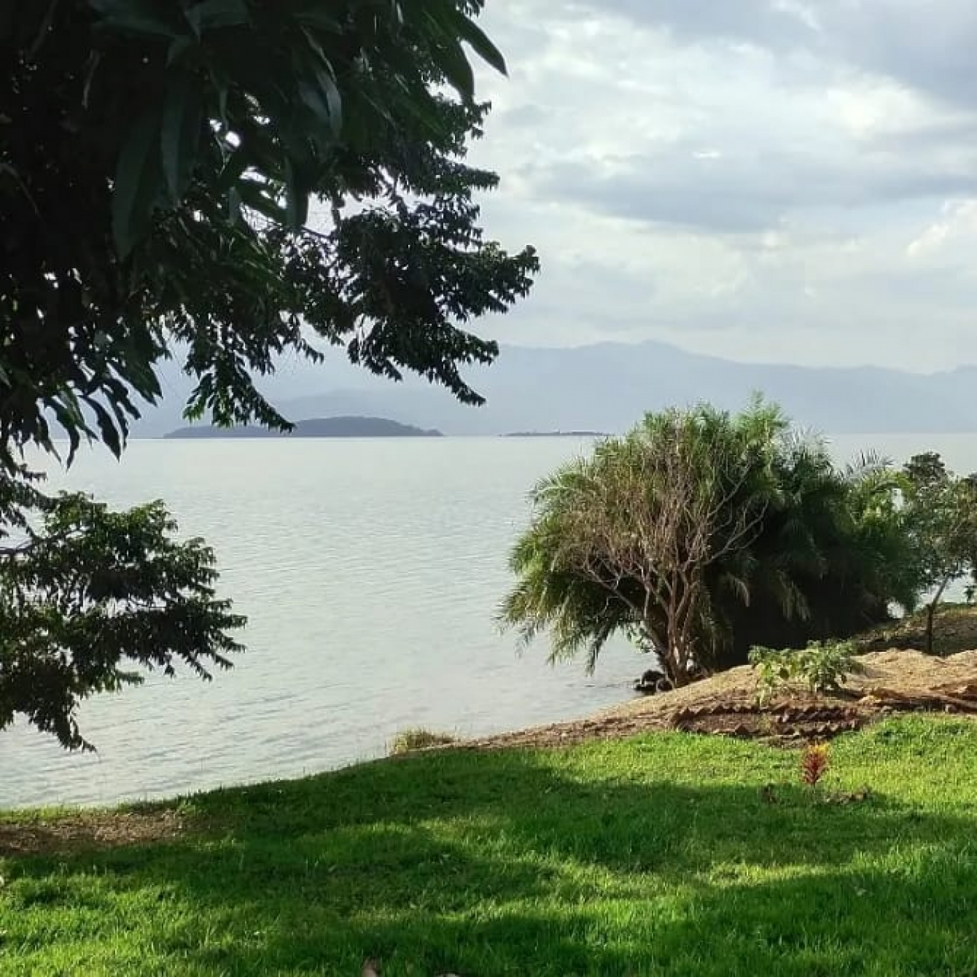 FLORES EN EL CONGO