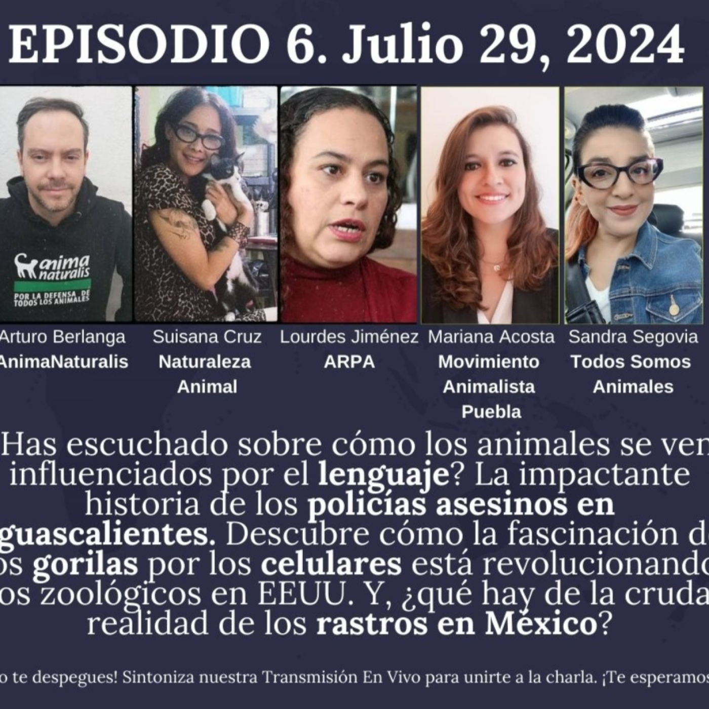 Todos Somos Animales News