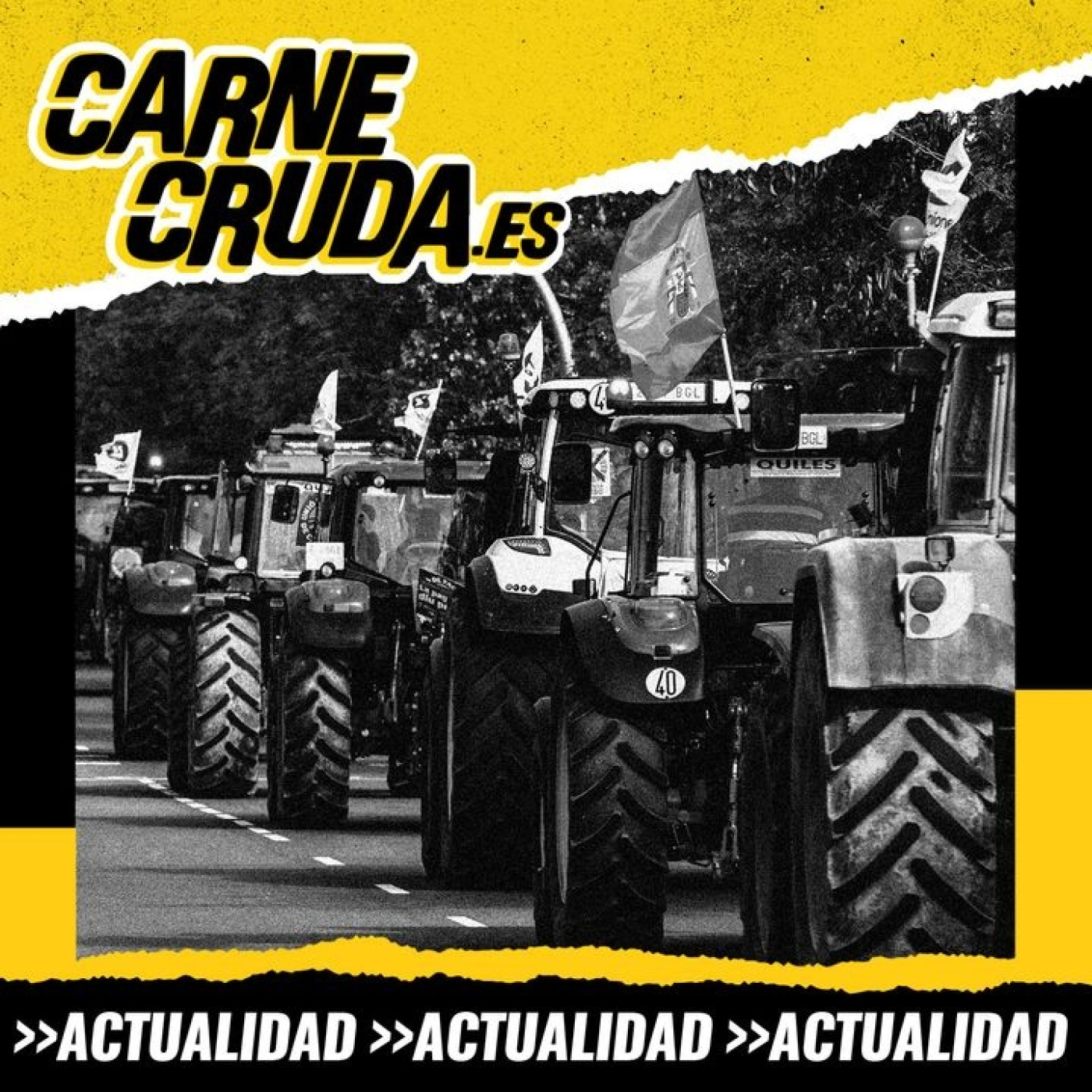 Carne Cruda - PROGRAMAS
