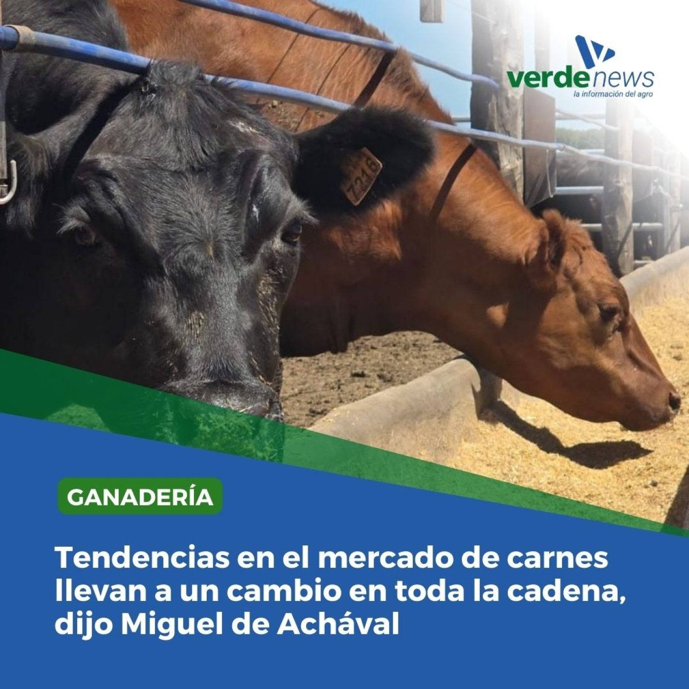 verdemedia