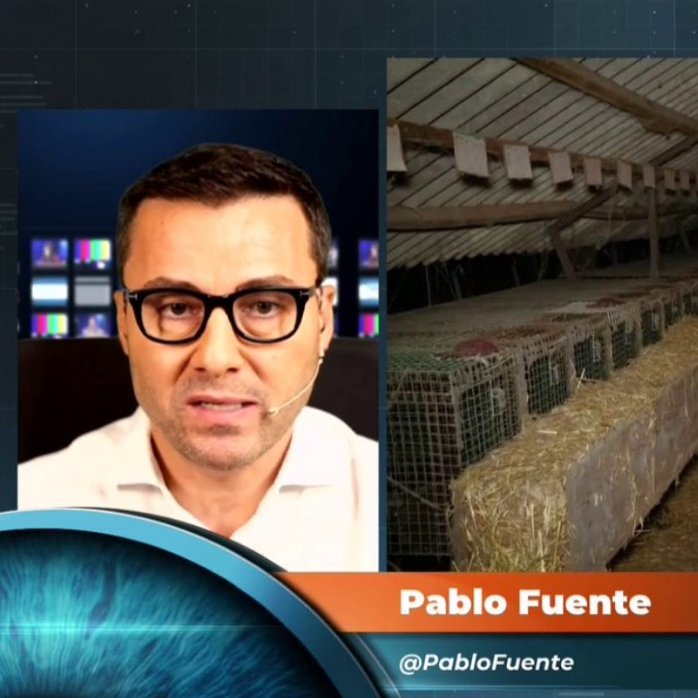 Horizonte: Rara mutación en el virus de la gripe aviar