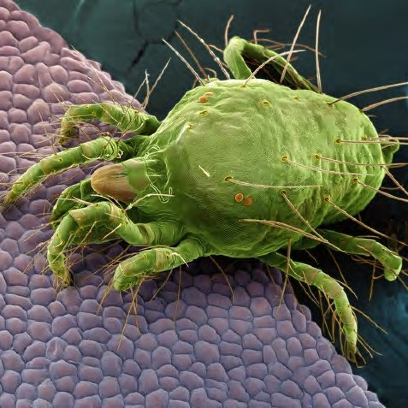 Fotciencia19