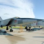 embed image