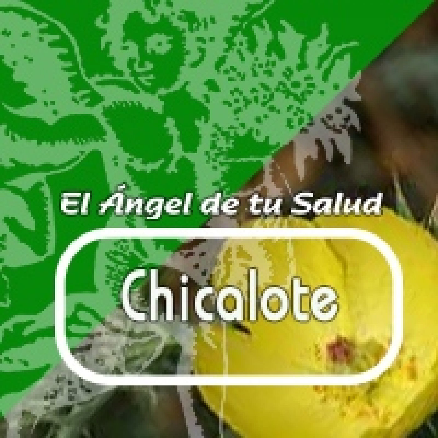 EL ÁNGEL DE TU SALUD - CHICALOTE***