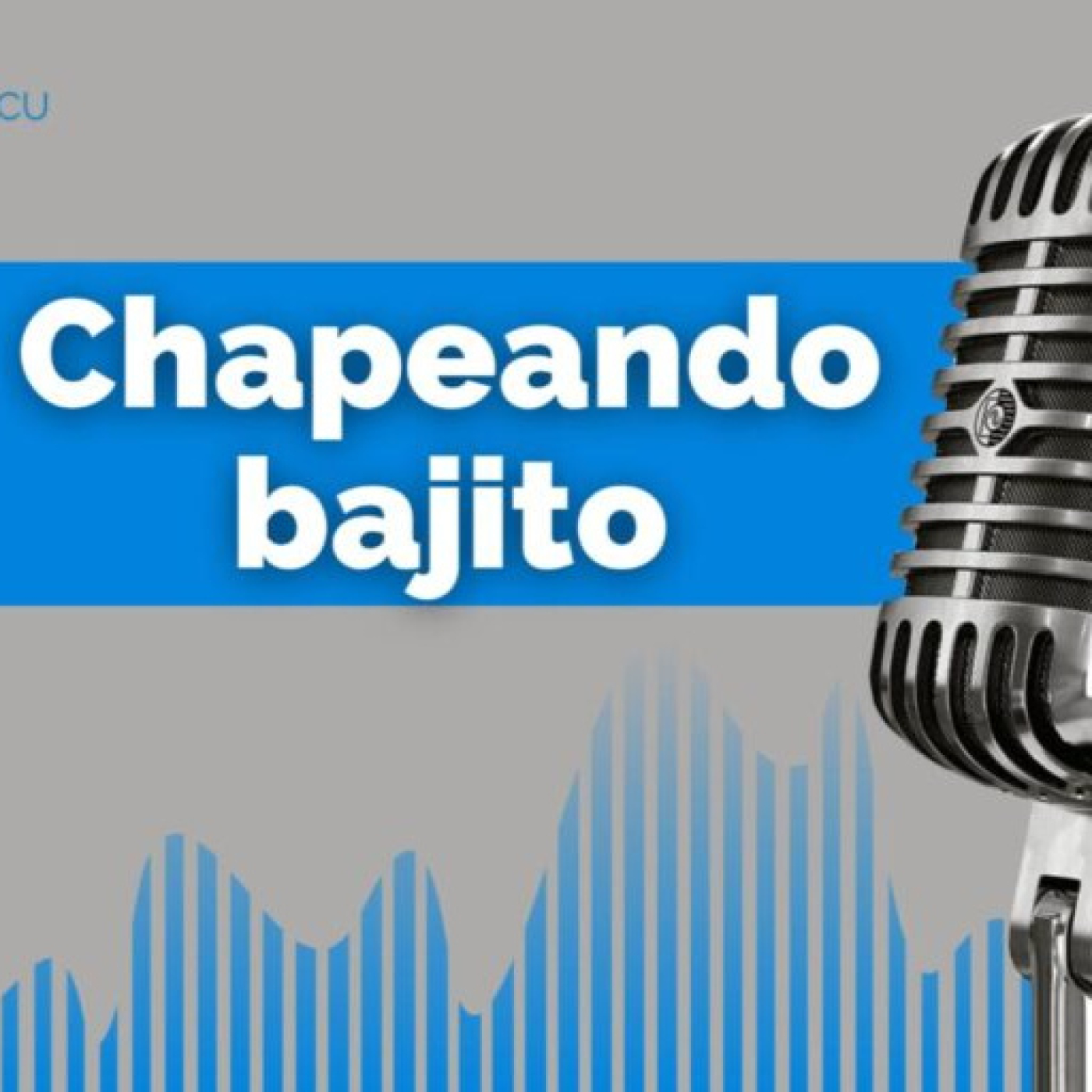 Chapeando: Piratas y saqueadores Chapeando: Piratas y saqueadores