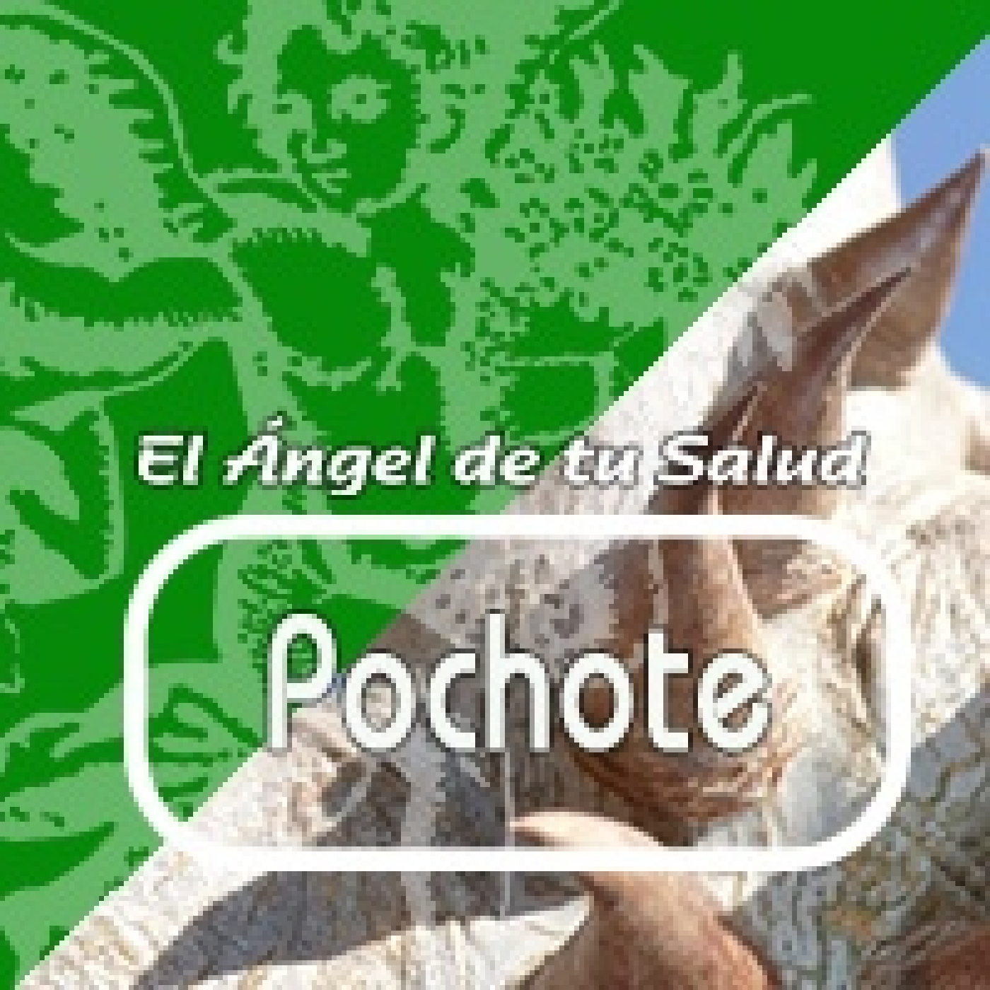 El Ángel de tu Salud - POCHOTE** episode artwork