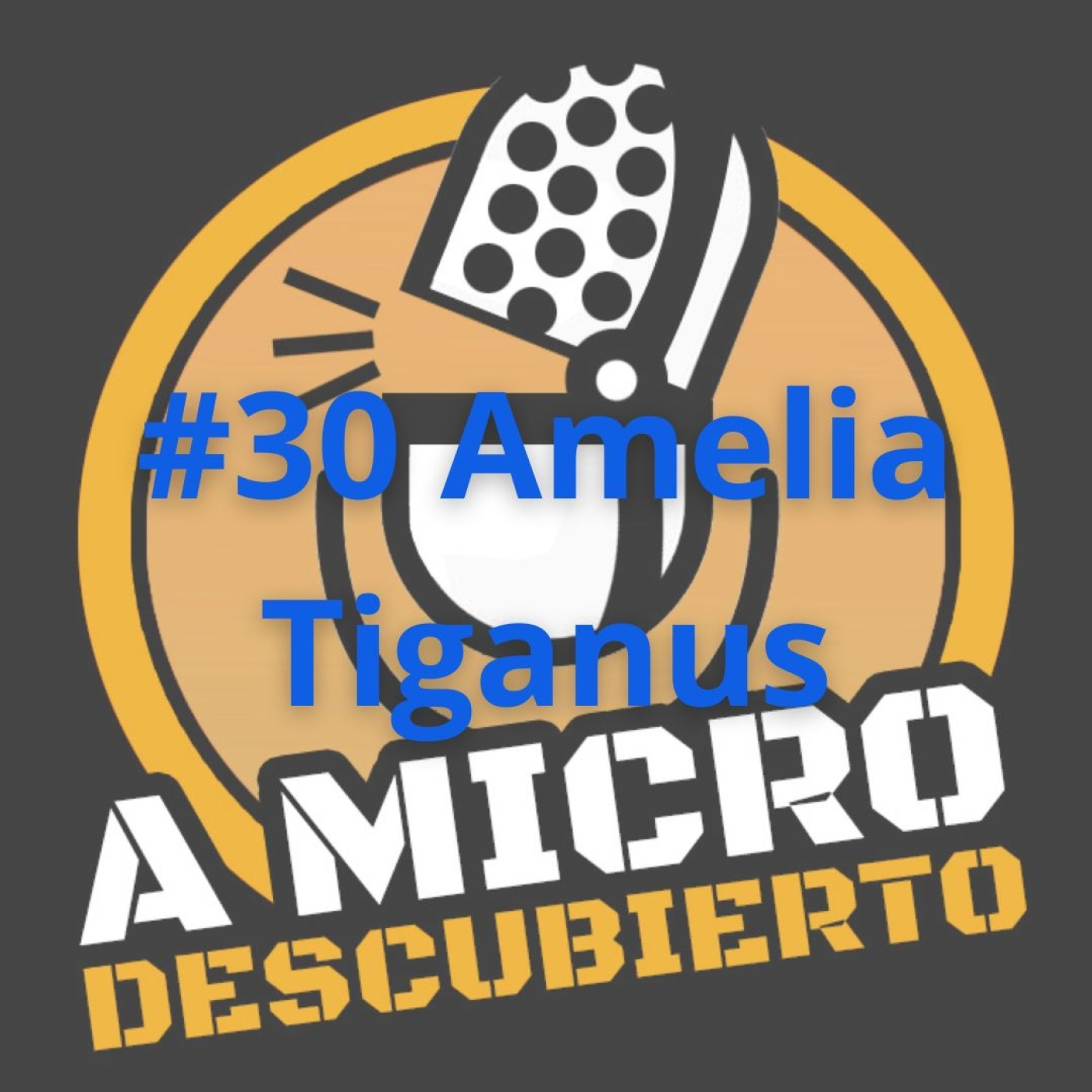 A Micro Descubierto