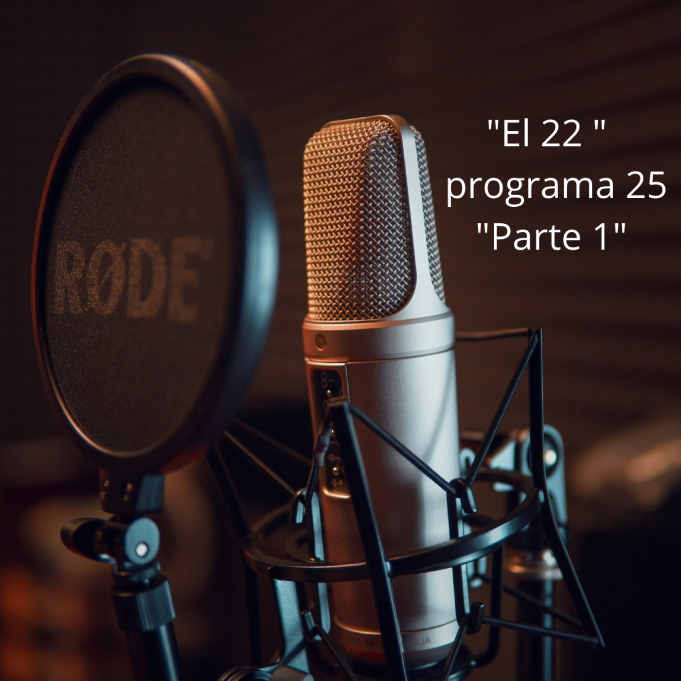 El 22 - BLOQUE I - PGM 25 - Temporada 13 episode artwork