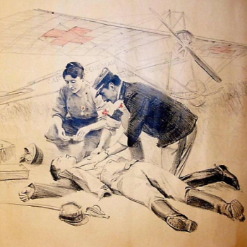 embed image