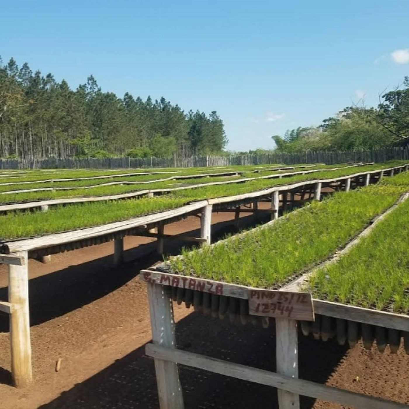 Empresa Agroforestal Villa Clara hacia la soberanía energética