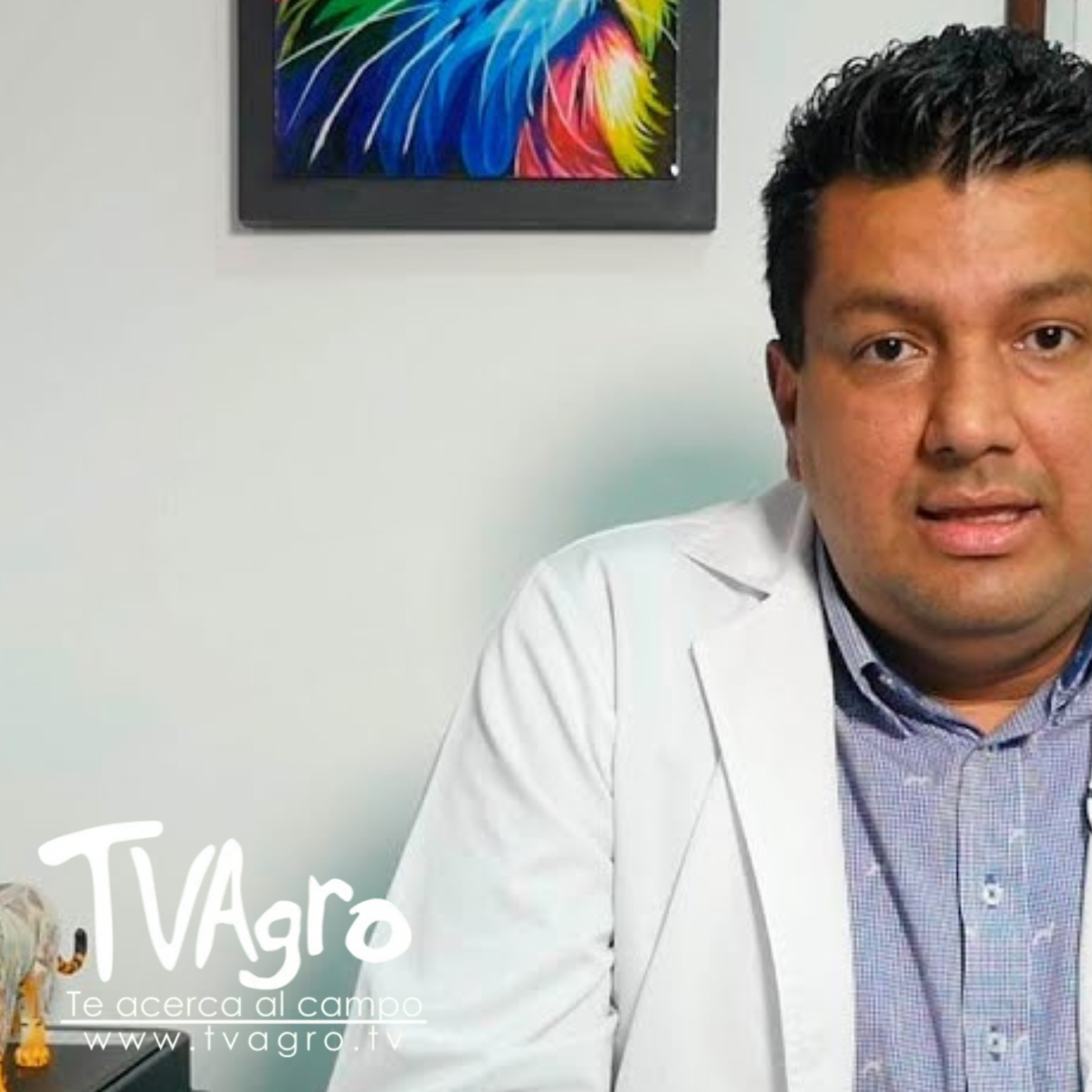 TV AGRO