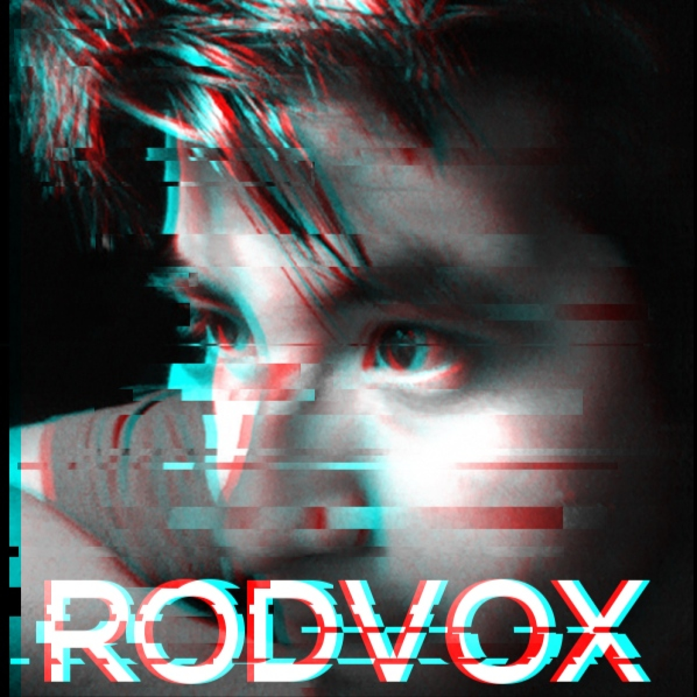 RodVox