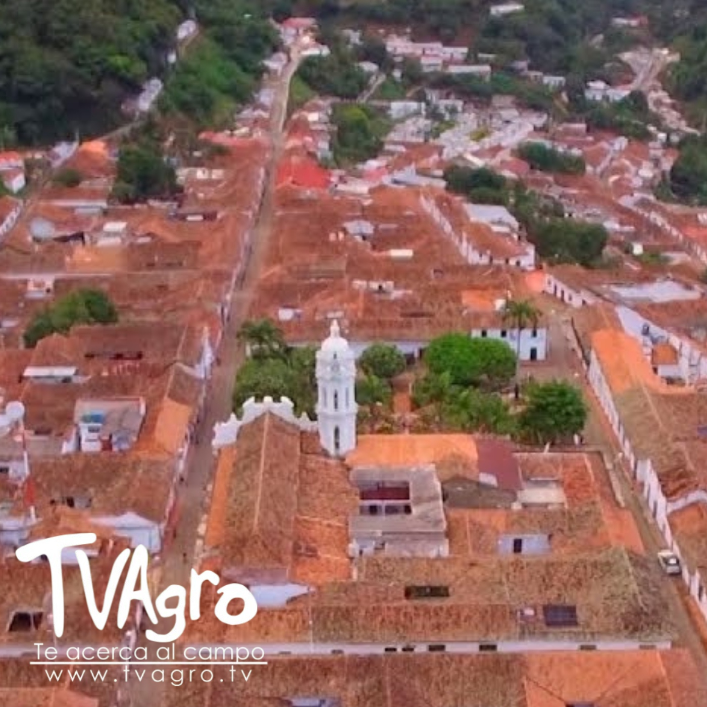 TV AGRO