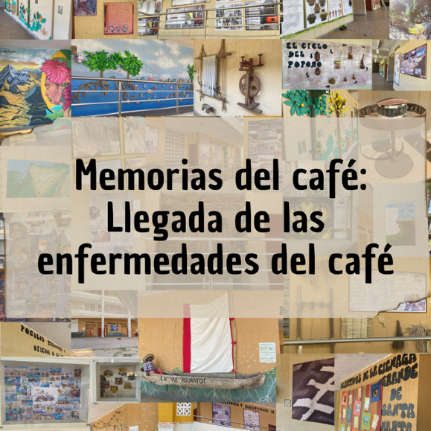 Sonoridades museográficas del Caribe colombiano