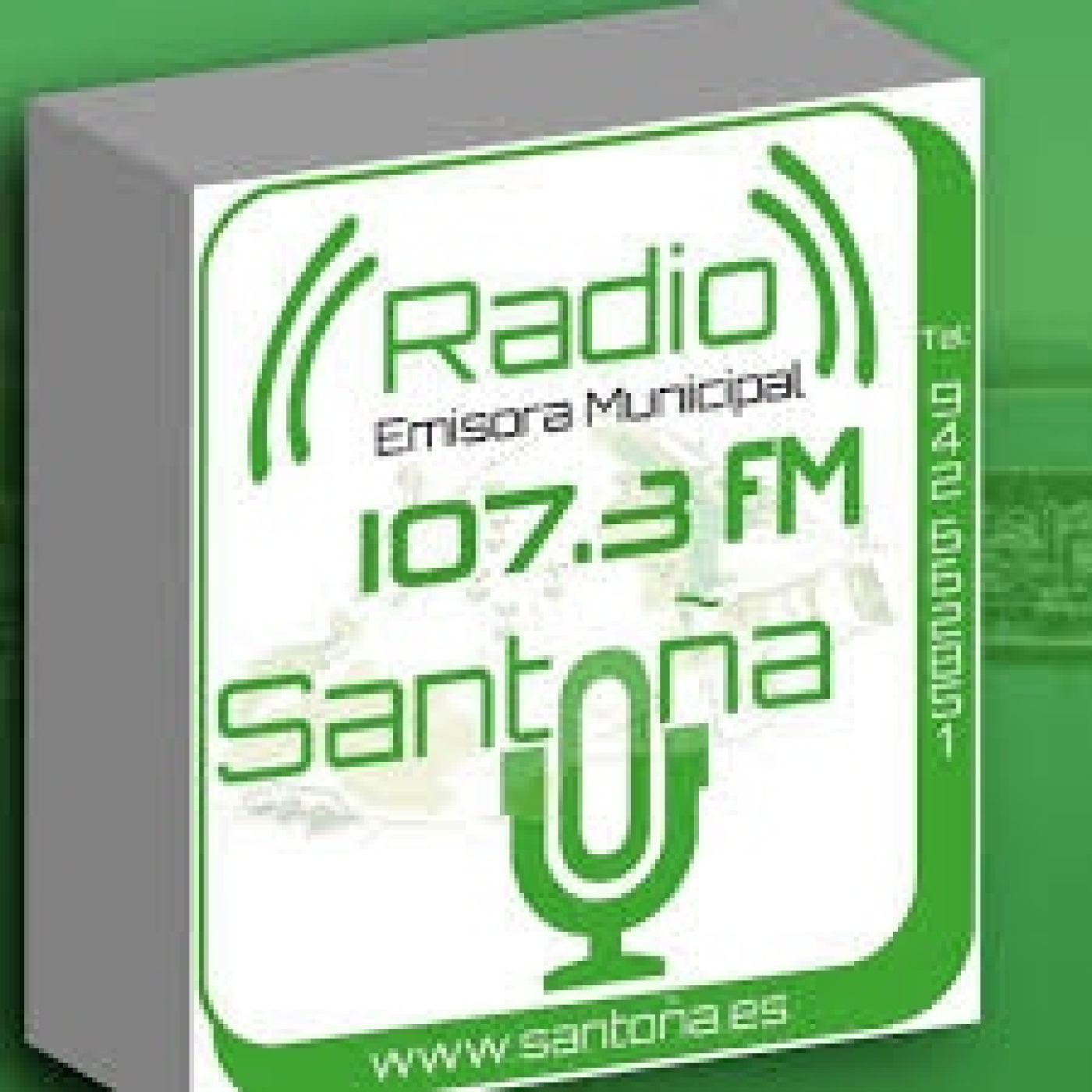 Pleno del Ayuntamiento de Santoña