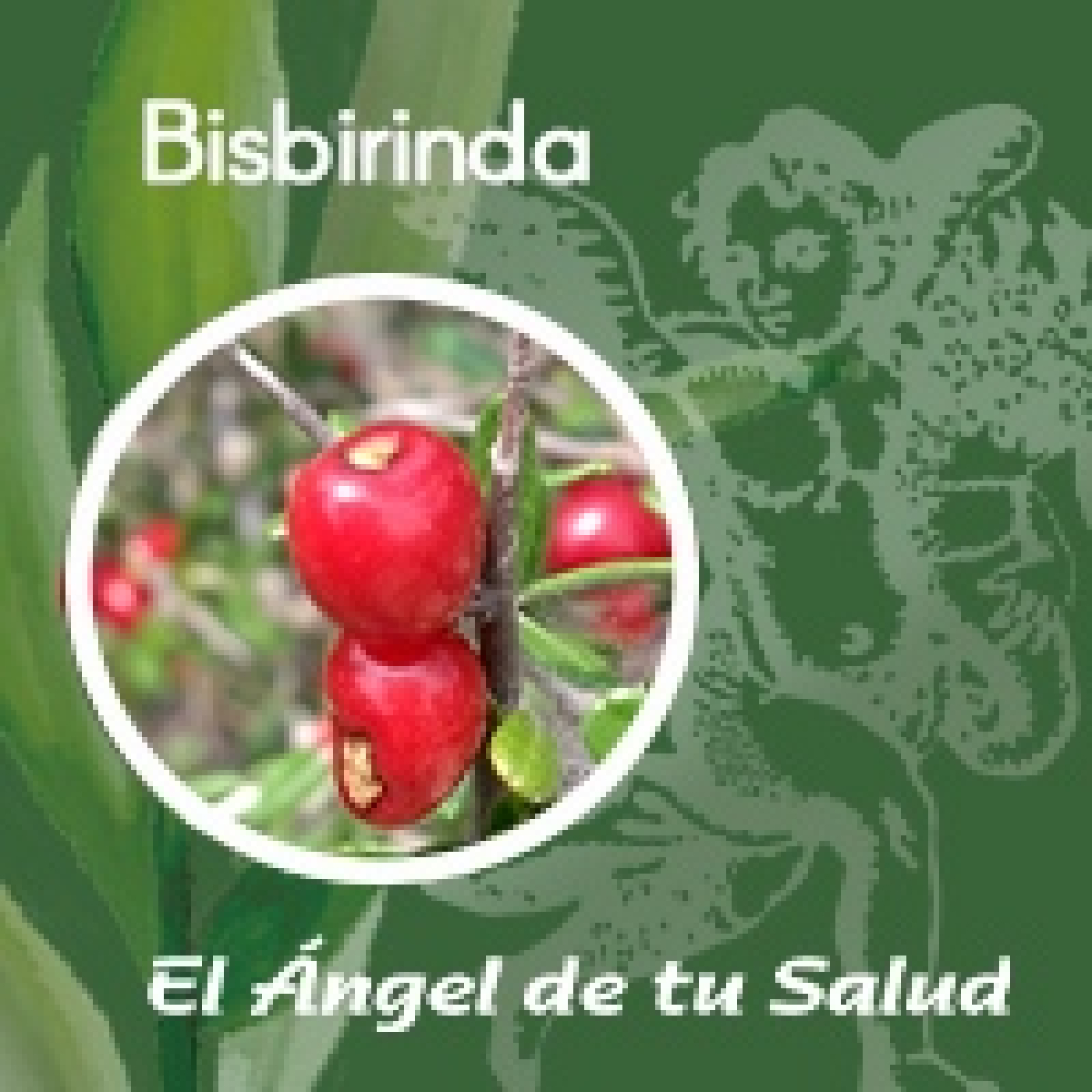 El Ángel de tu Salud - Bisbirinda** episode artwork