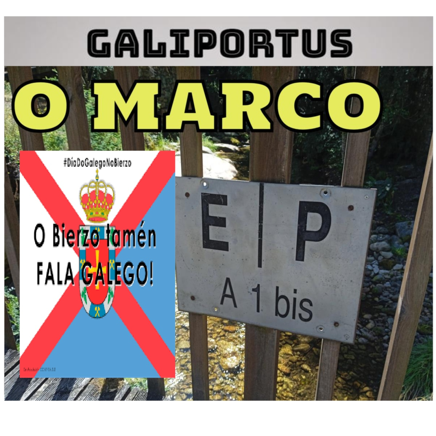GALIPORTUS