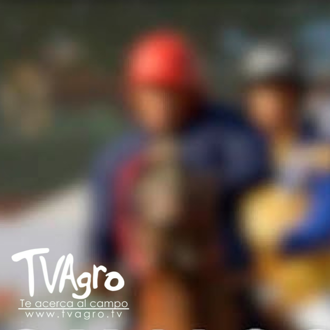 TV AGRO