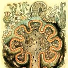 EL CÓDICE MEXICA. EL MUNDO INTRATERRENO Y VIAJE A PAITITI. Sixto Paz Wells. M.75.