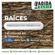 RAÍCES - Abril 08 Del 2020