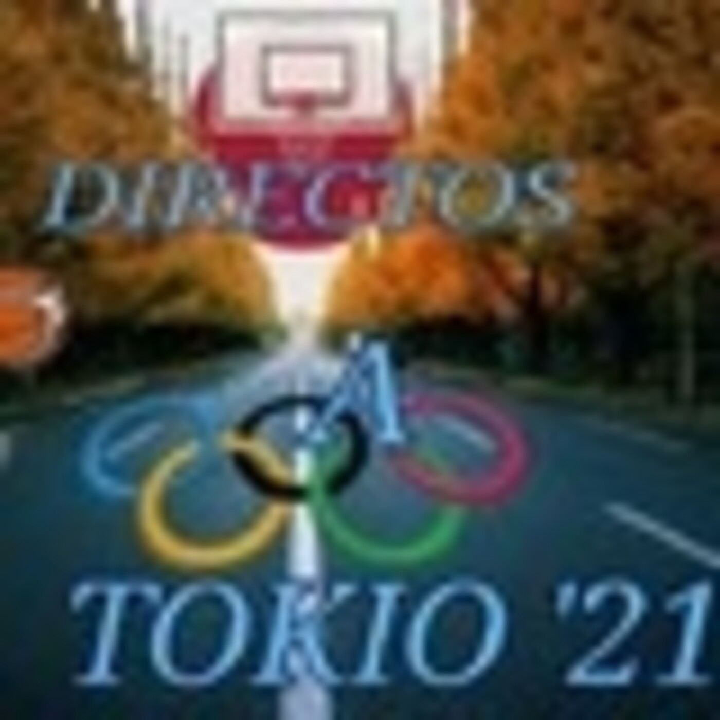 Pasión Por El Baloncesto