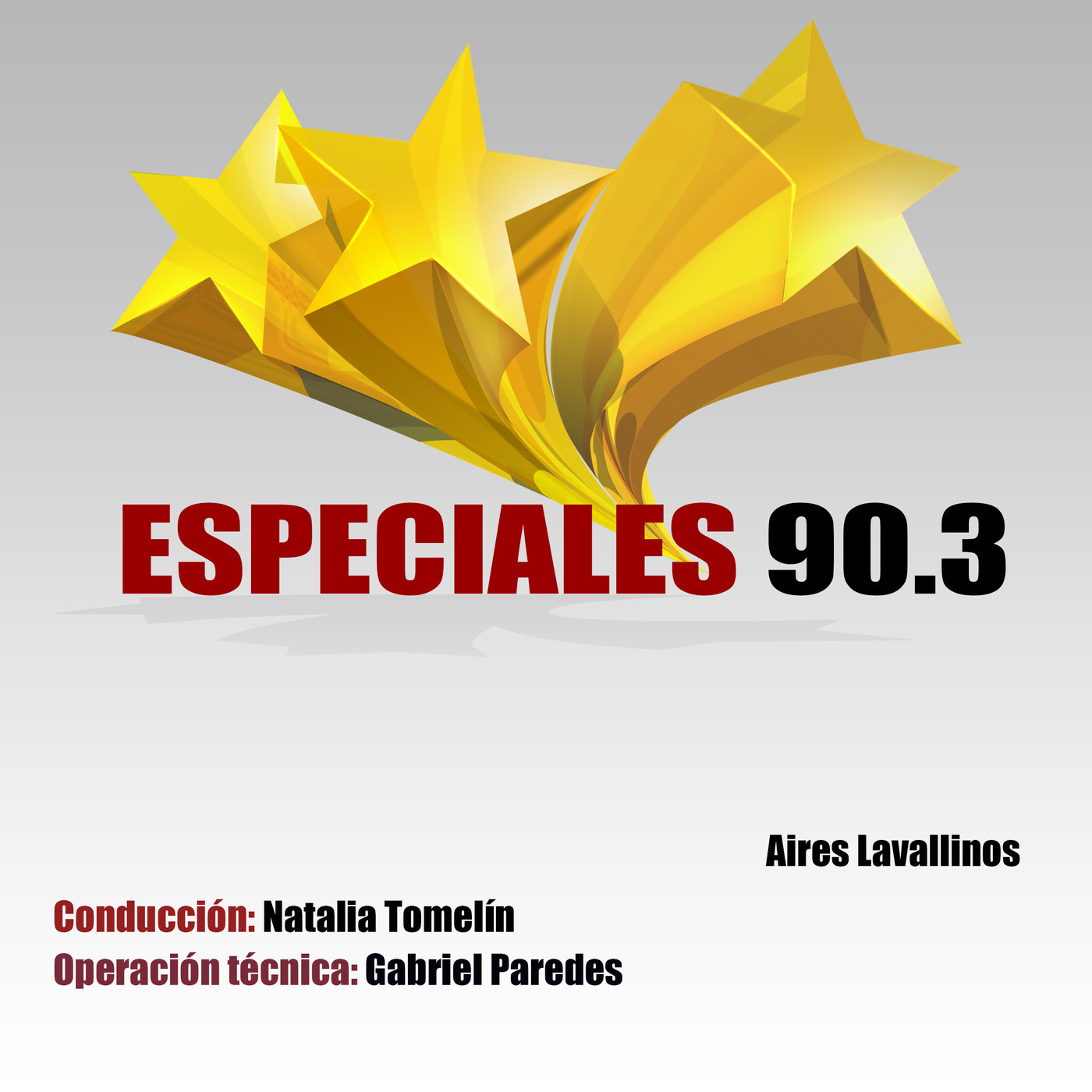 Programas Fm Aires Lavallinos 2020
