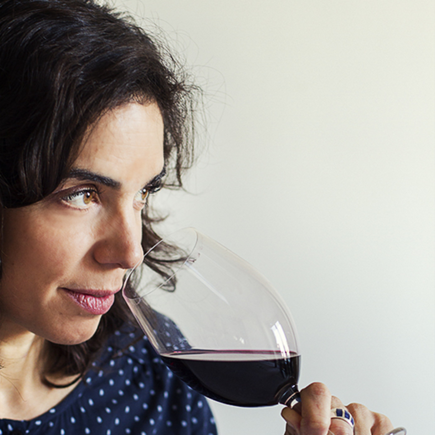 vinistas