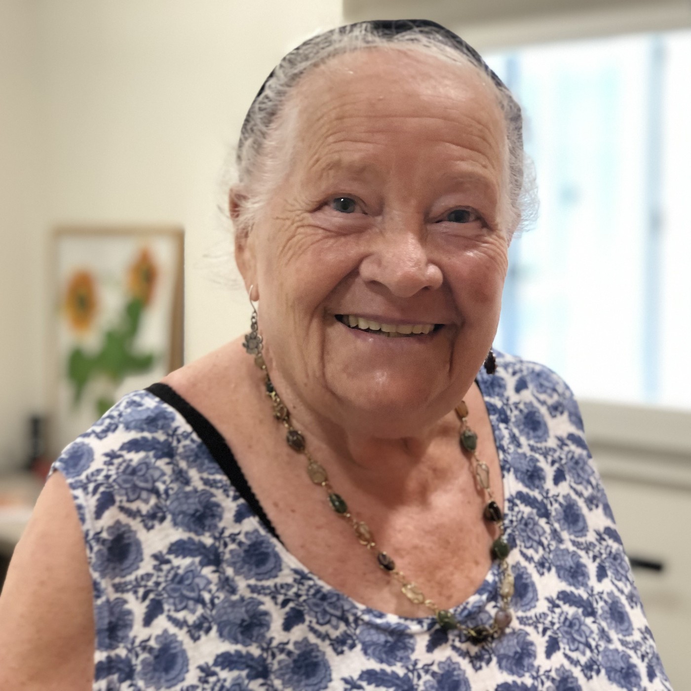 Els Nostres Grans S\'Avis