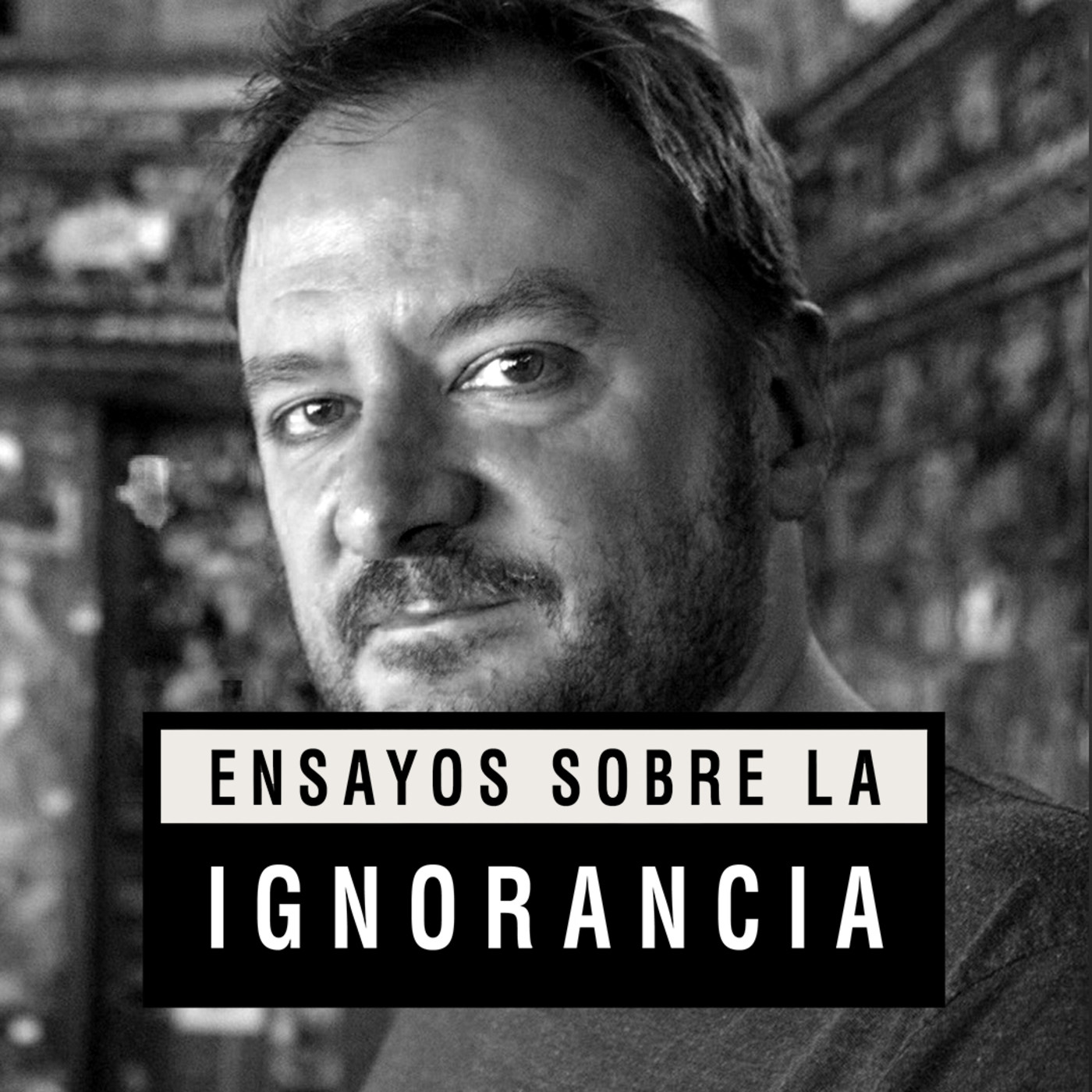 Ensayos sobre la ignorancia