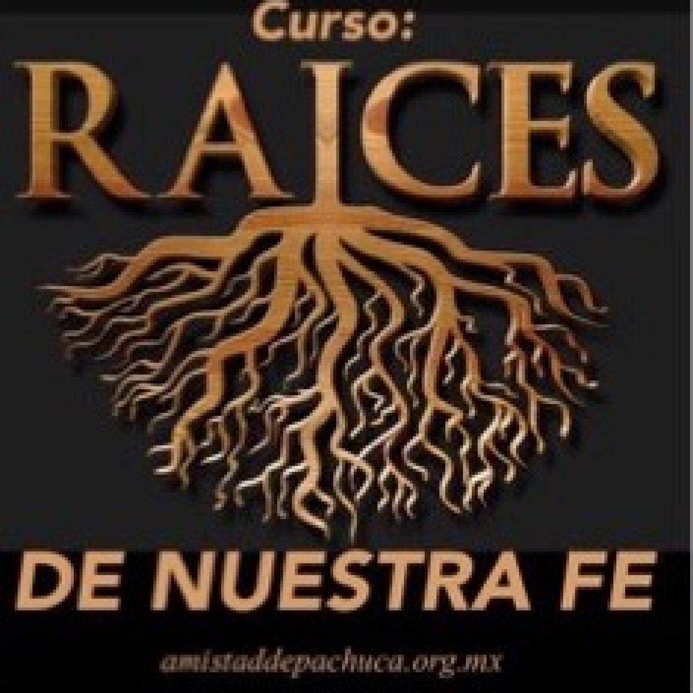 Consciencia sin Dogmas