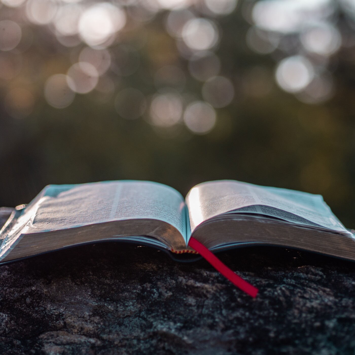 Cápsulas de la Biblia