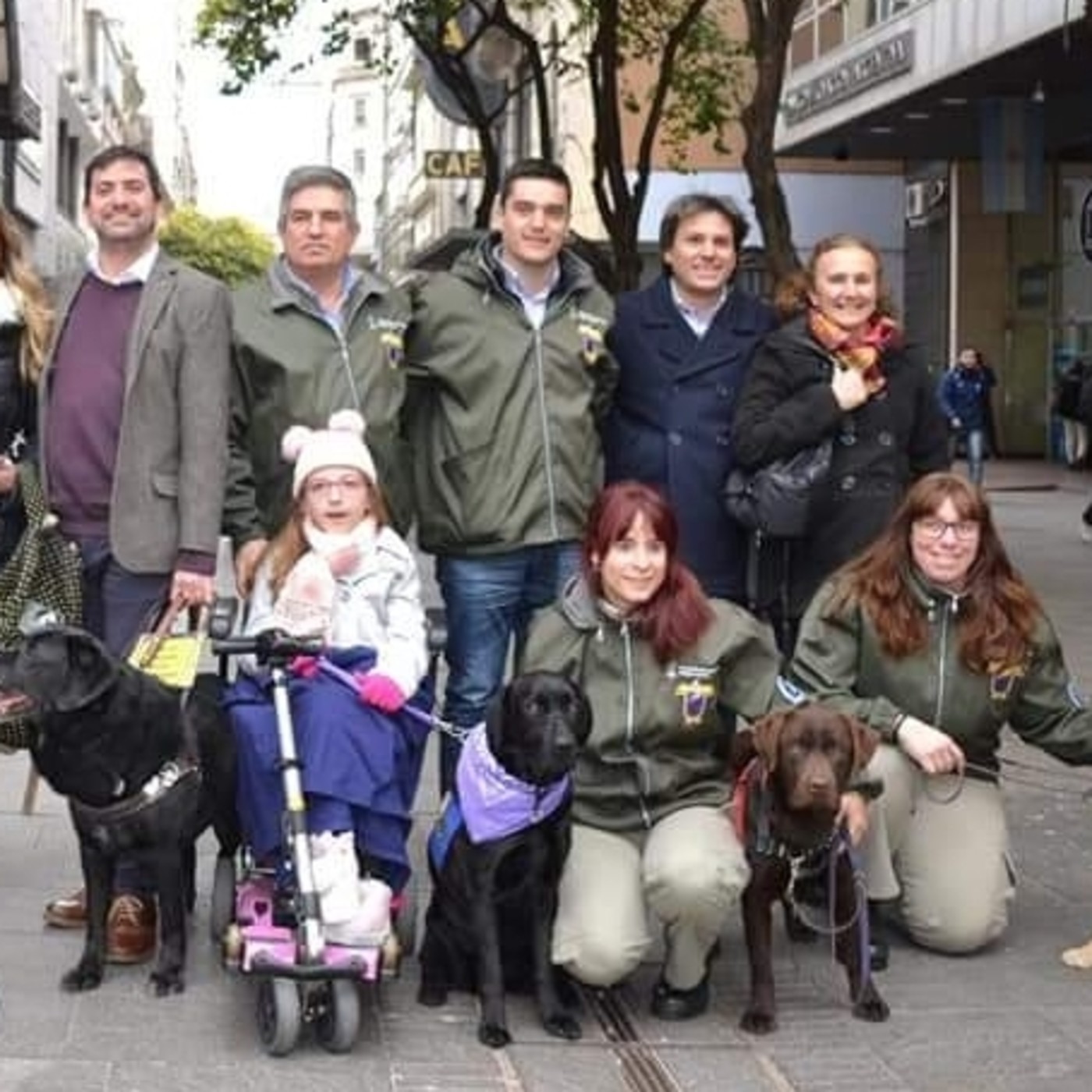 programayolotransformo