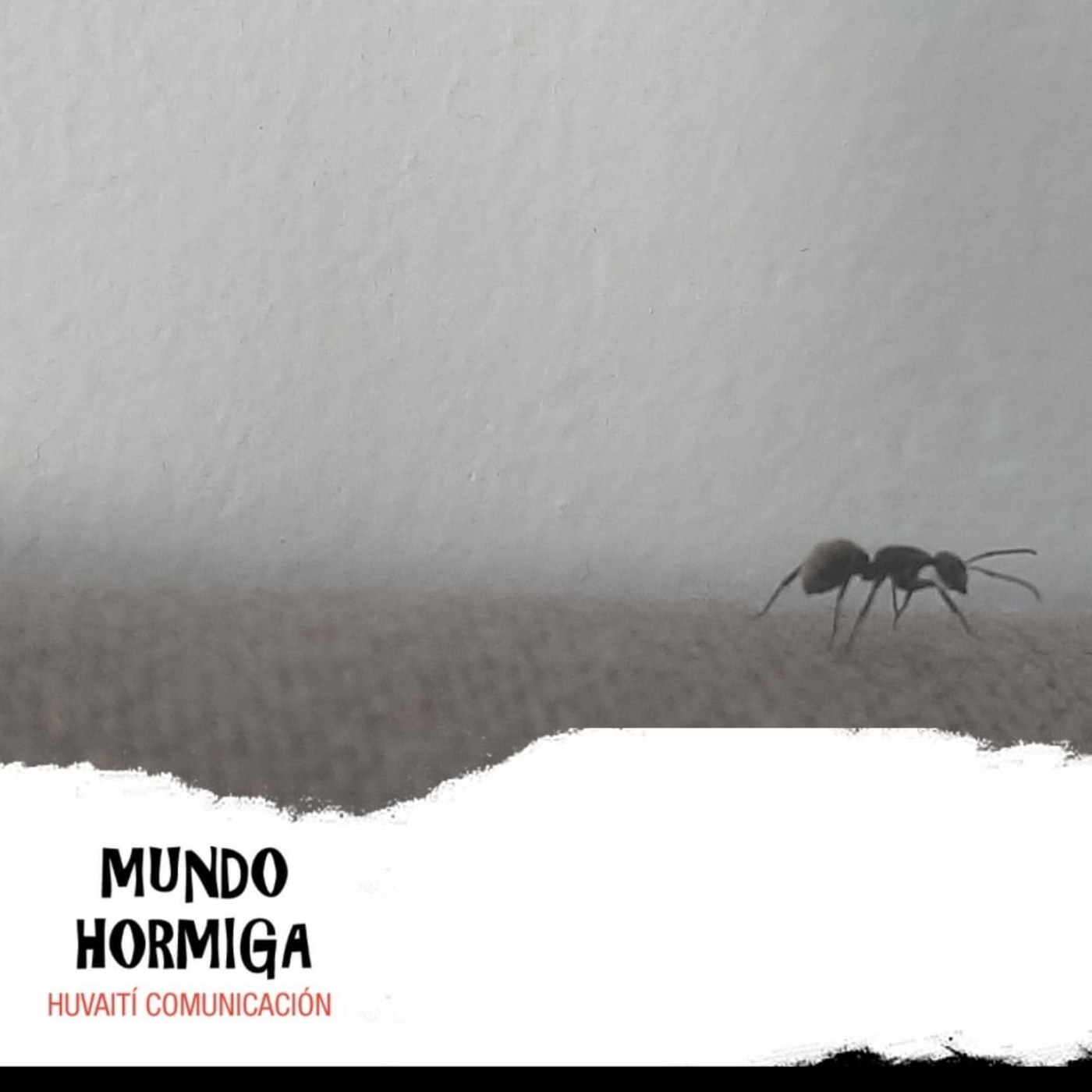 Mundo Hormiga - 7 de noviembre 2021 episode artwork