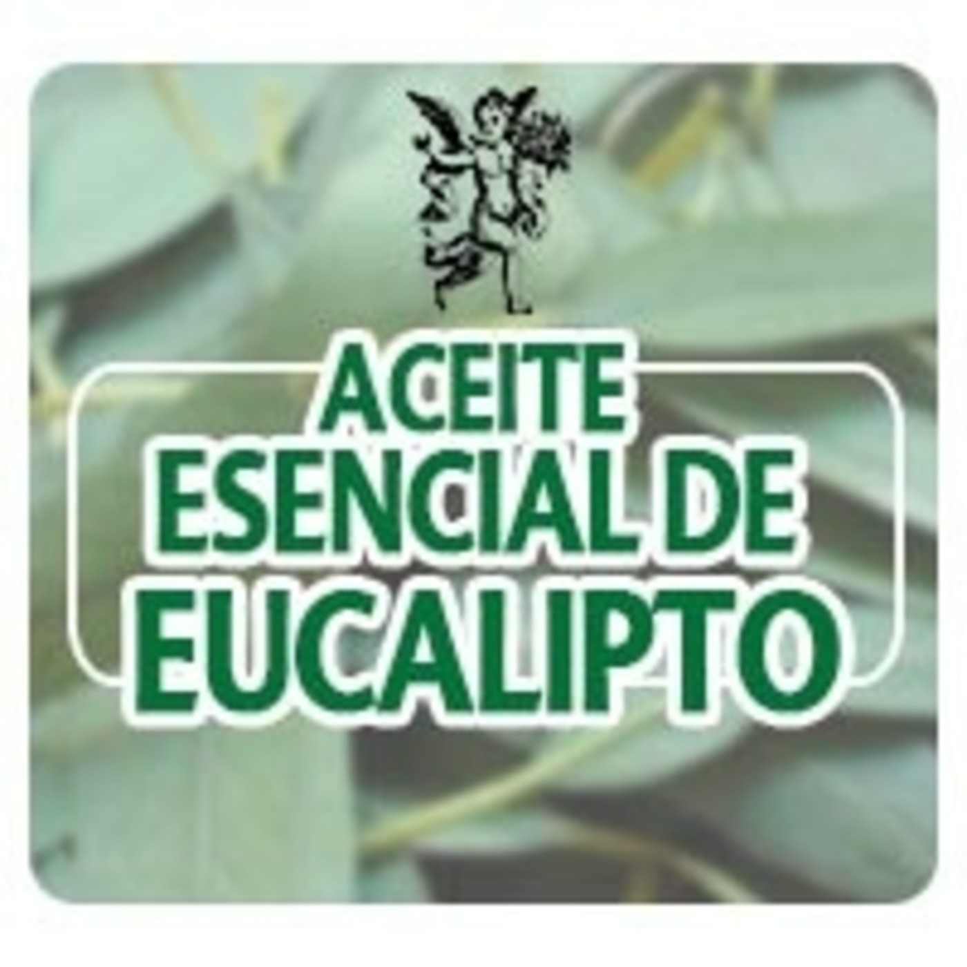 El Angel de tu Salud - ACEITE ESENCIAL DE EUCALIPTO episode artwork