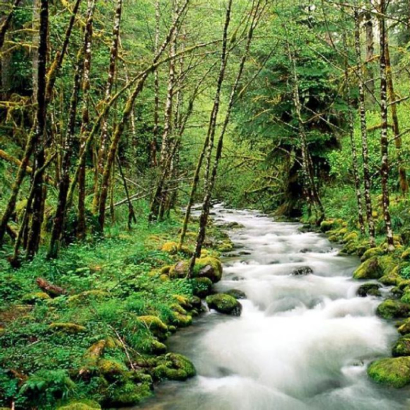 Meditación para fluir con el agua | Evelyn Hodges