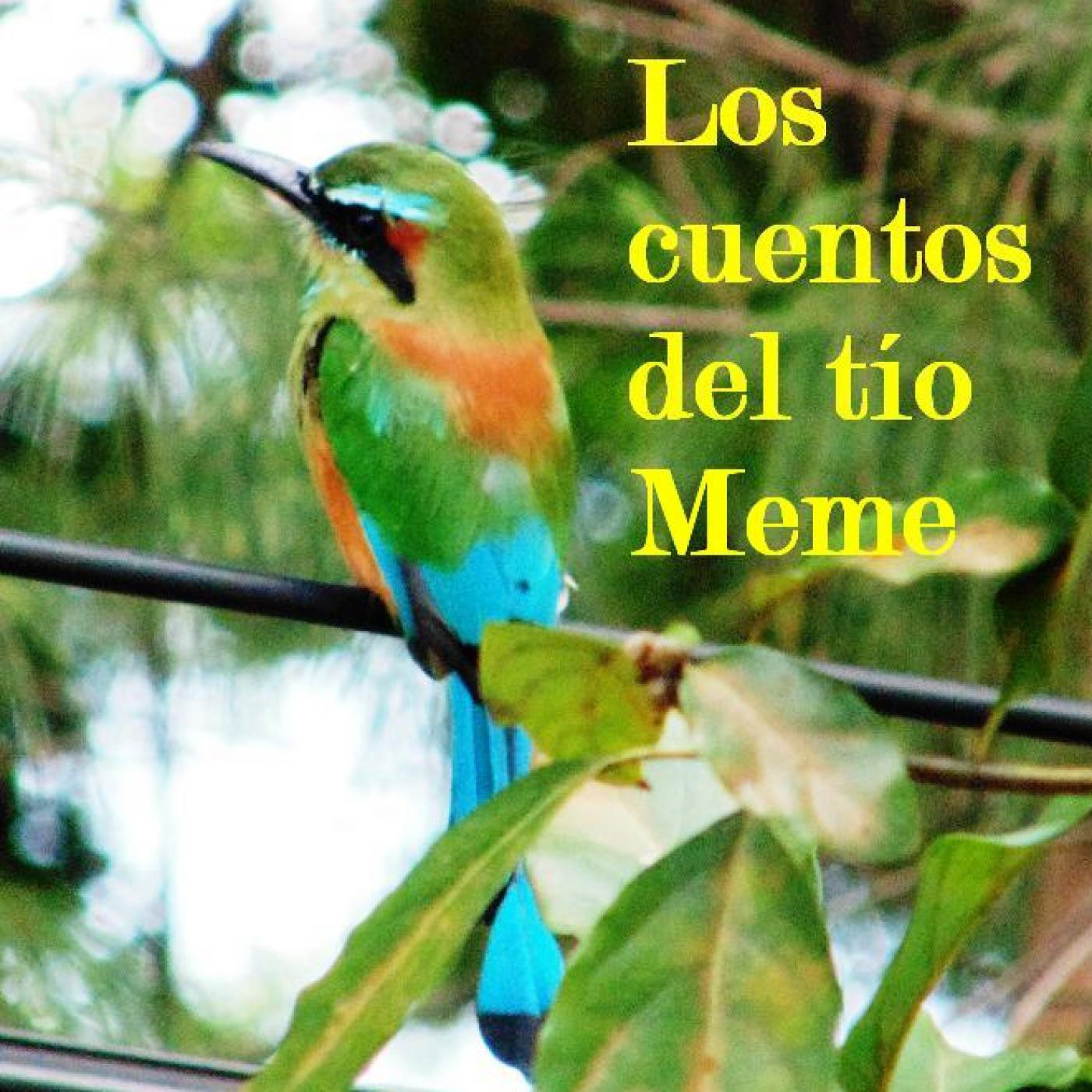 LOS CUENTOS DEL TÍO MEME
