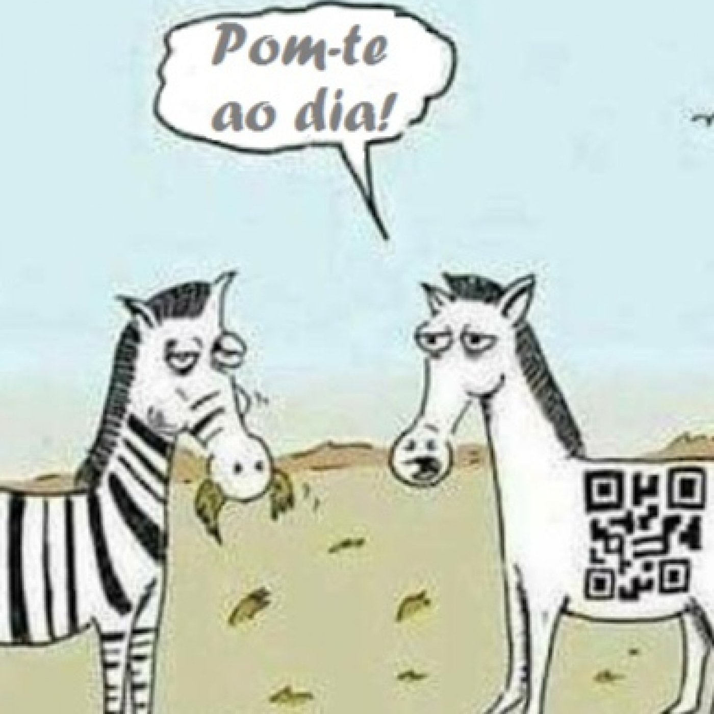 comochoconto