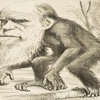 Ni laica ni científica. La enseñanza de la Teoría de la Evolución en la escuela - Mónica Contreras