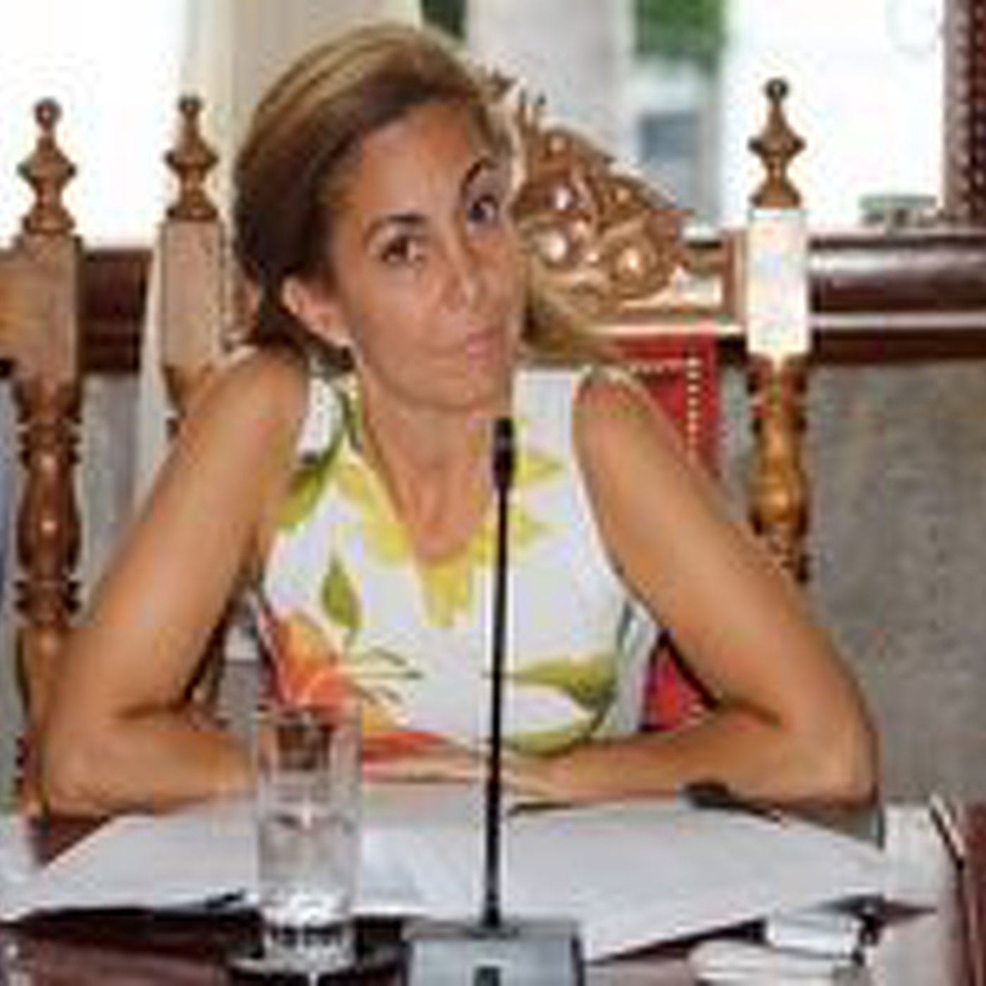 Marta Poggio destaca la participación de alrededor de 80 personas en el acto de La Pandorga en la Bajada de la Virgen episode artwork