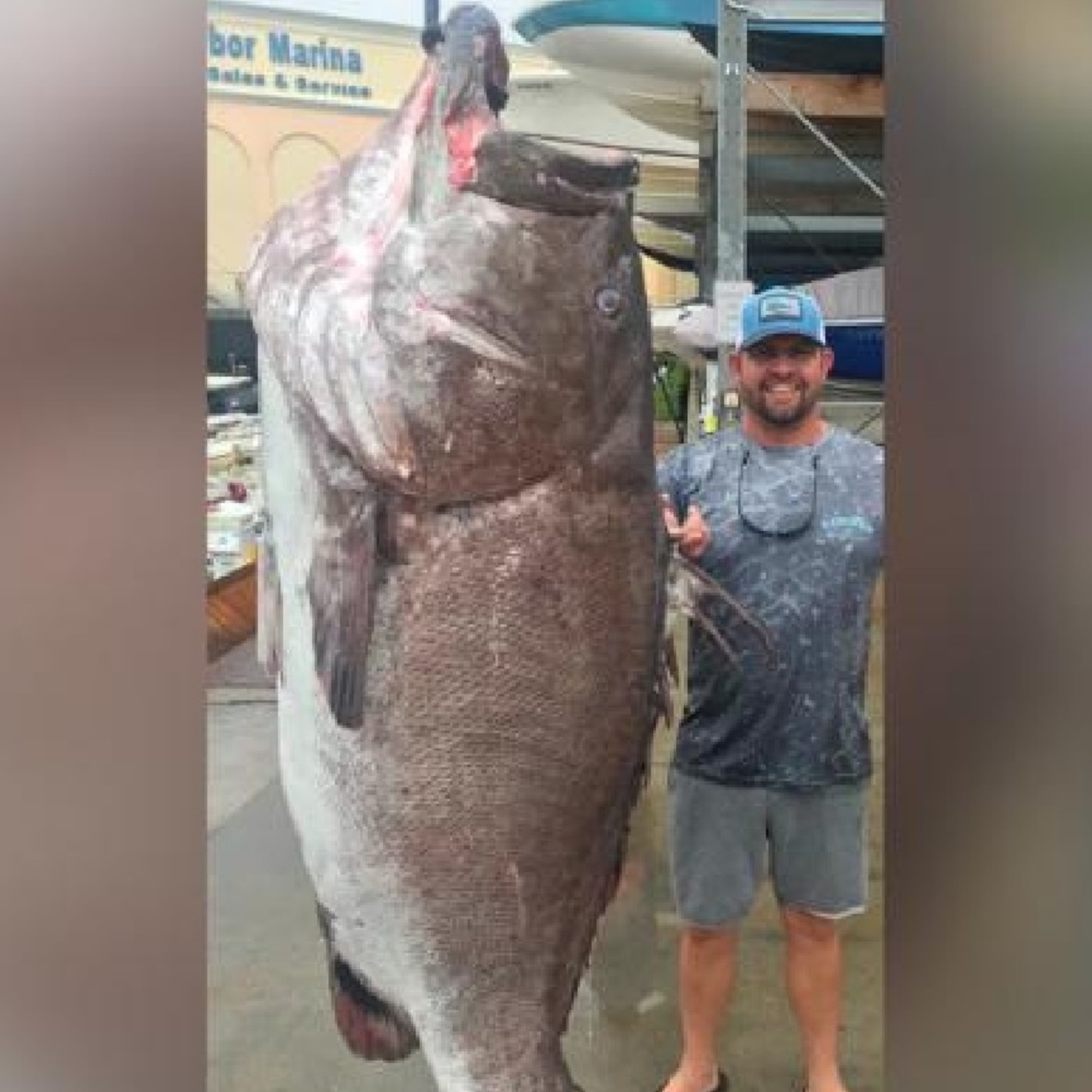Un mero de 159 kg y 50 años fue pescado en Florida episode artwork