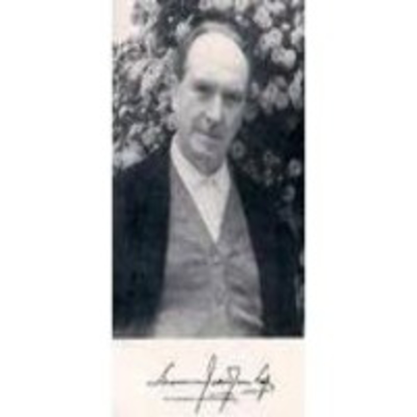 O GALEGO REINTEGRACIONISTA