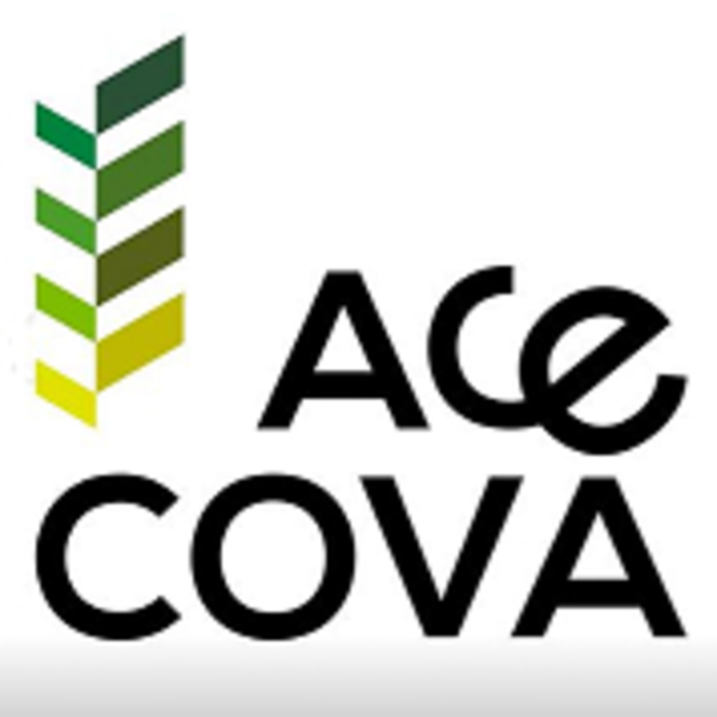 Programa 147 - ACECOVA (Asociación de celíacos de la Comunidad Valenciana)