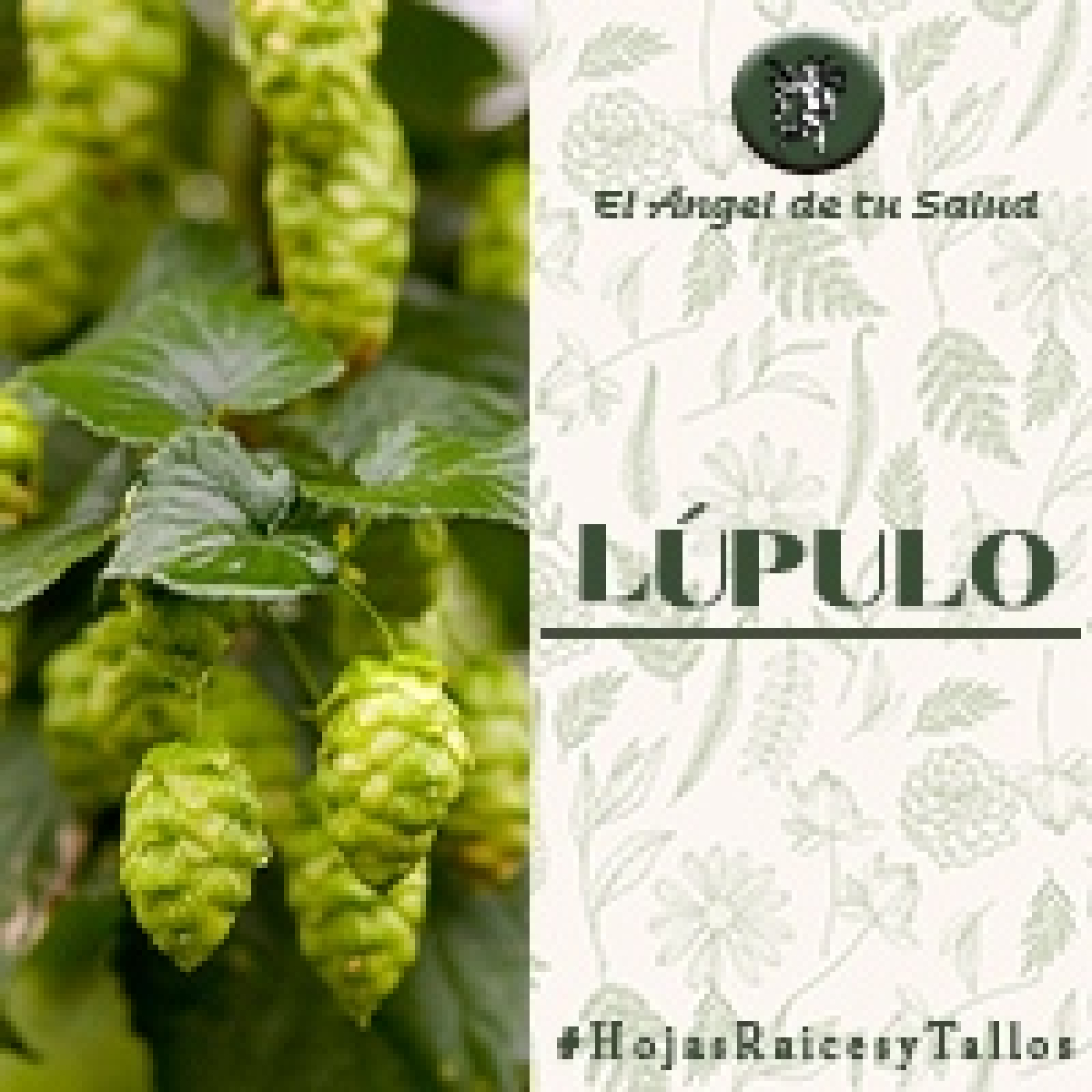 El Ángel de tu Salud - Lúpulo** episode artwork