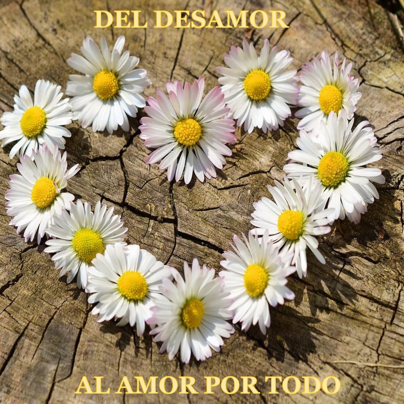 10 Claves para comenzar a amar-te