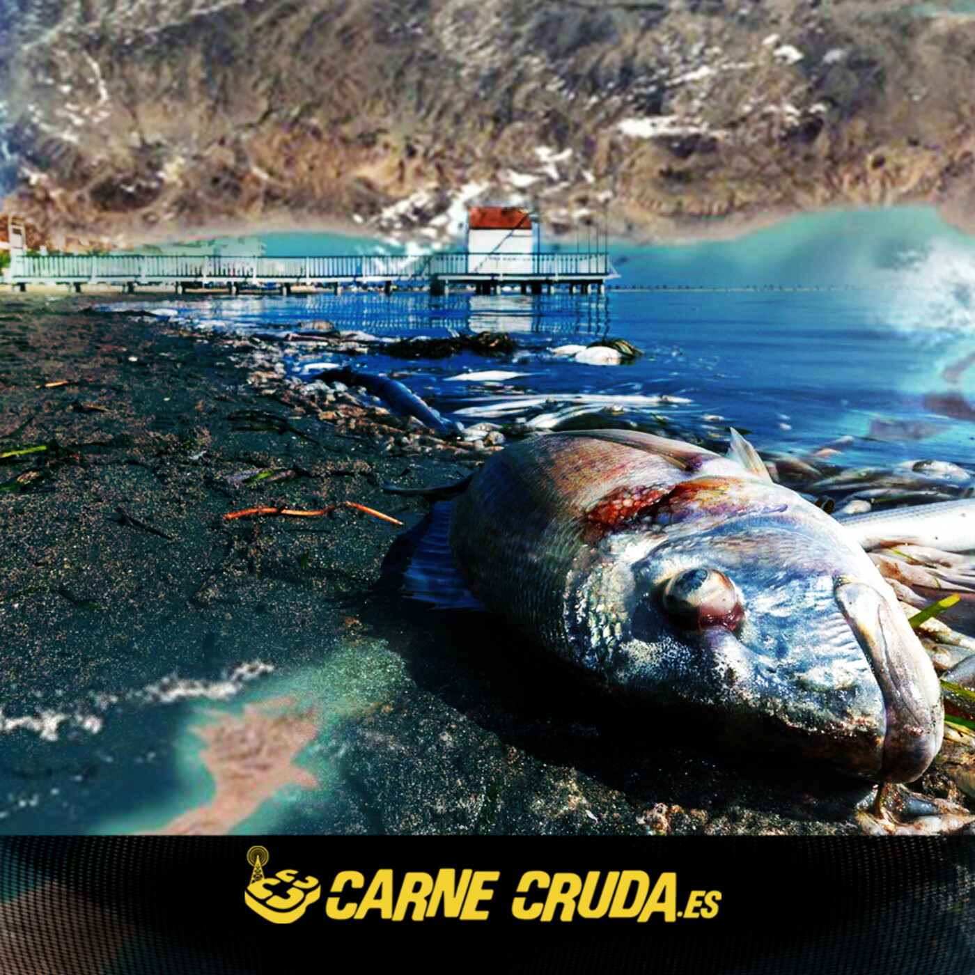 Mar Menor, mar muerto (CARNE CRUDA #914)