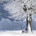 Cando era tempo de inverno