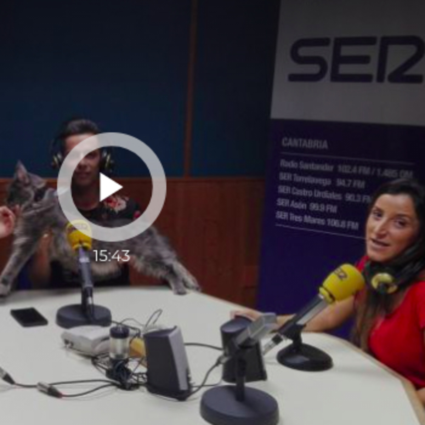 SoCio MaInEcOoN (@socio_mainecoon) un gato cántabro con más de 23 mil seguidores en Instagram